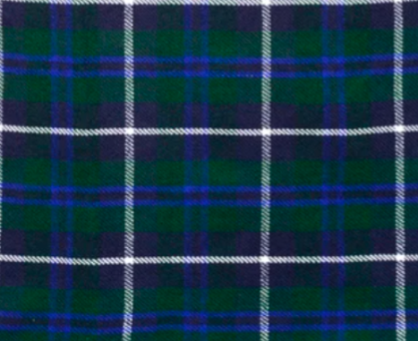 Tartan Pixie Skirt