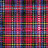 Tartan Pixie Skirt